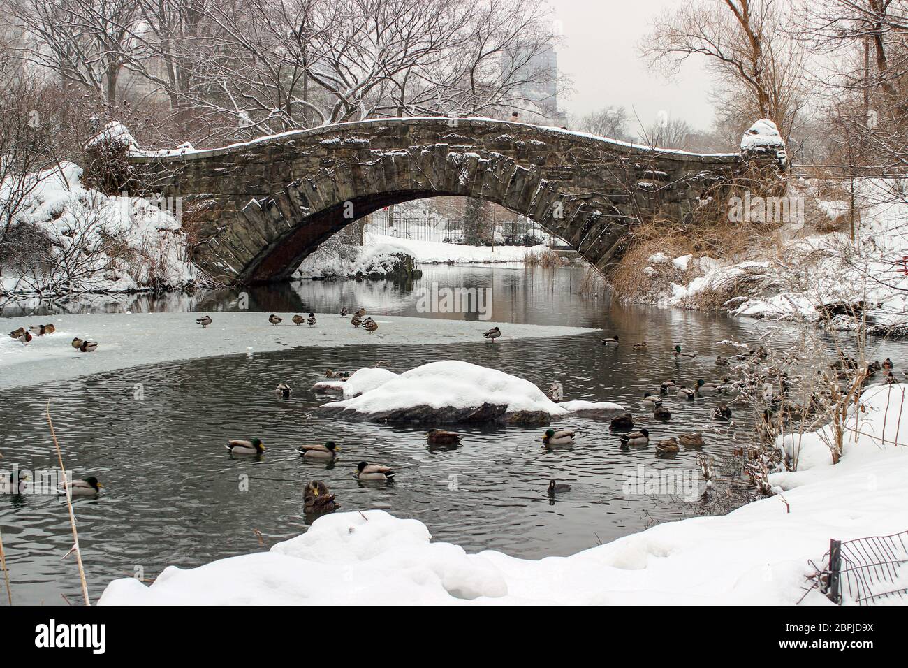 Gapstow Bridge over icy Pond on a grey winter day in Central Park, Manhattan, New York City, United States of America Stock Photo