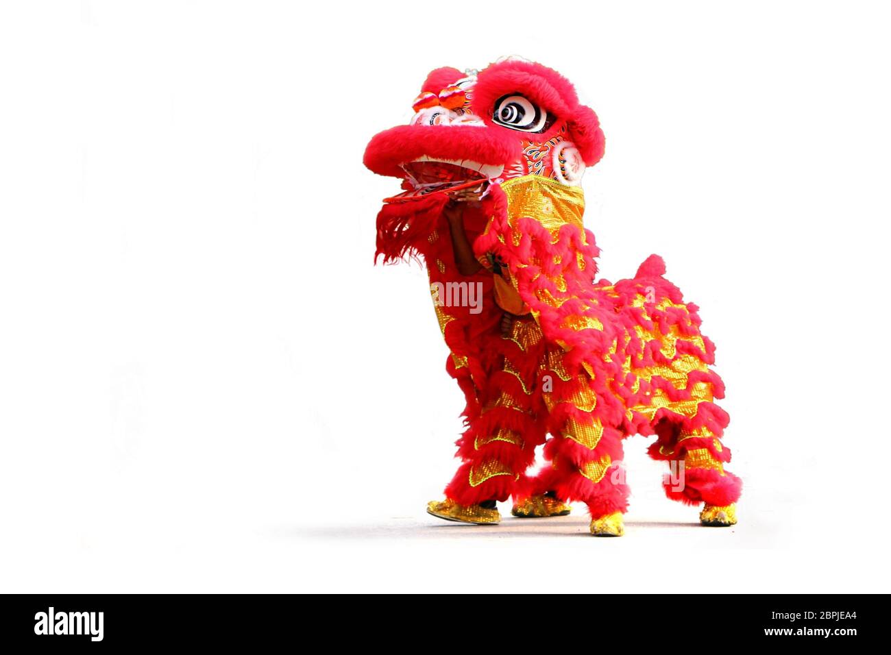 Chinese New Year lion dance celebration over white background Stock ...
