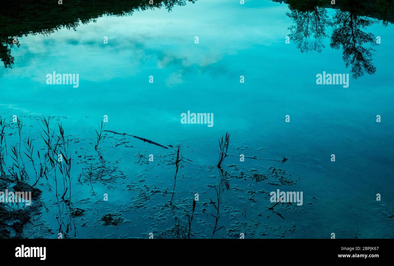 Sky and trees reflecting in the pond water at the dusk, background texture. Stock Photo