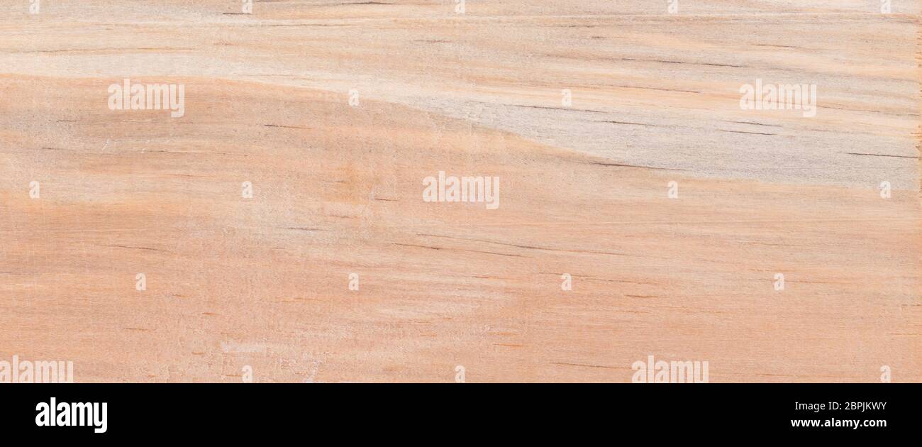 Wood background - Wood from the tropical rainforest - Suriname - Pinus caribaez Stock Photo