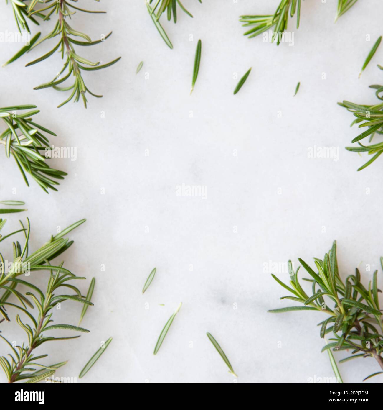 Rosemary sprigs on marble surface with copy space Stock Photo