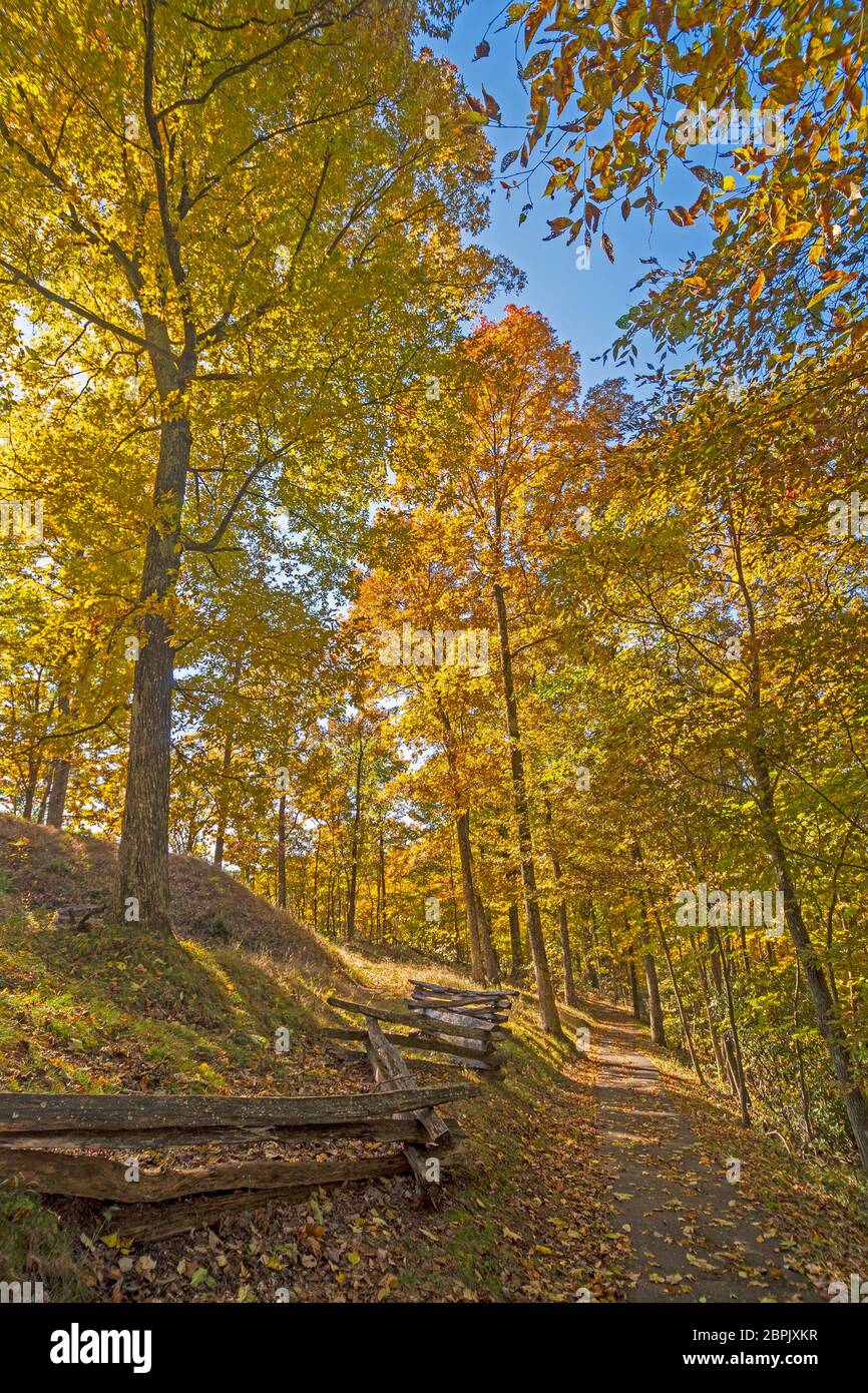 Quiet Mountain Trail in the Fall in Cumberland Gap National Park in
