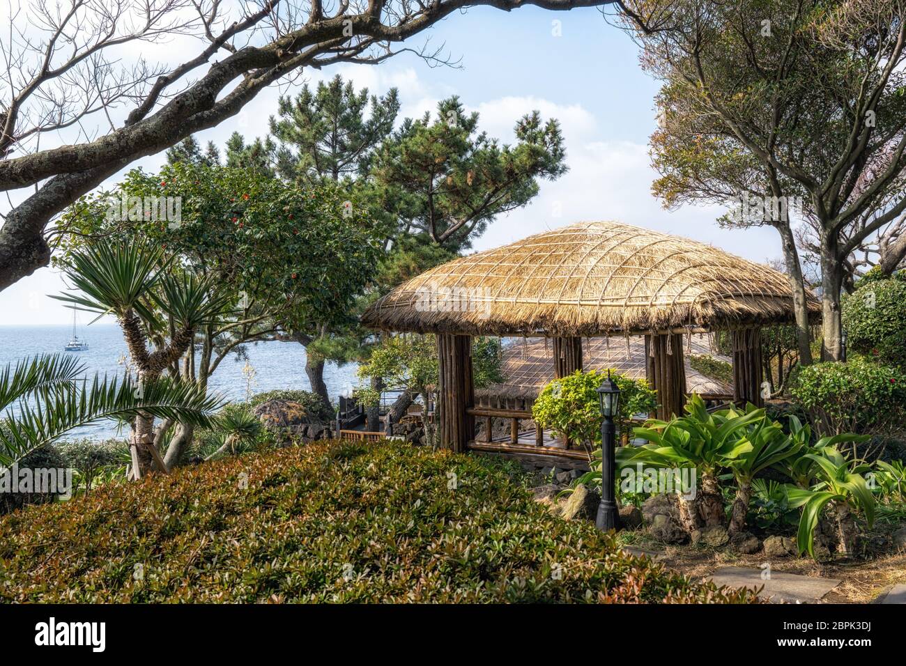 Straw thatched roofs of traditional jeju houses in jeju island village