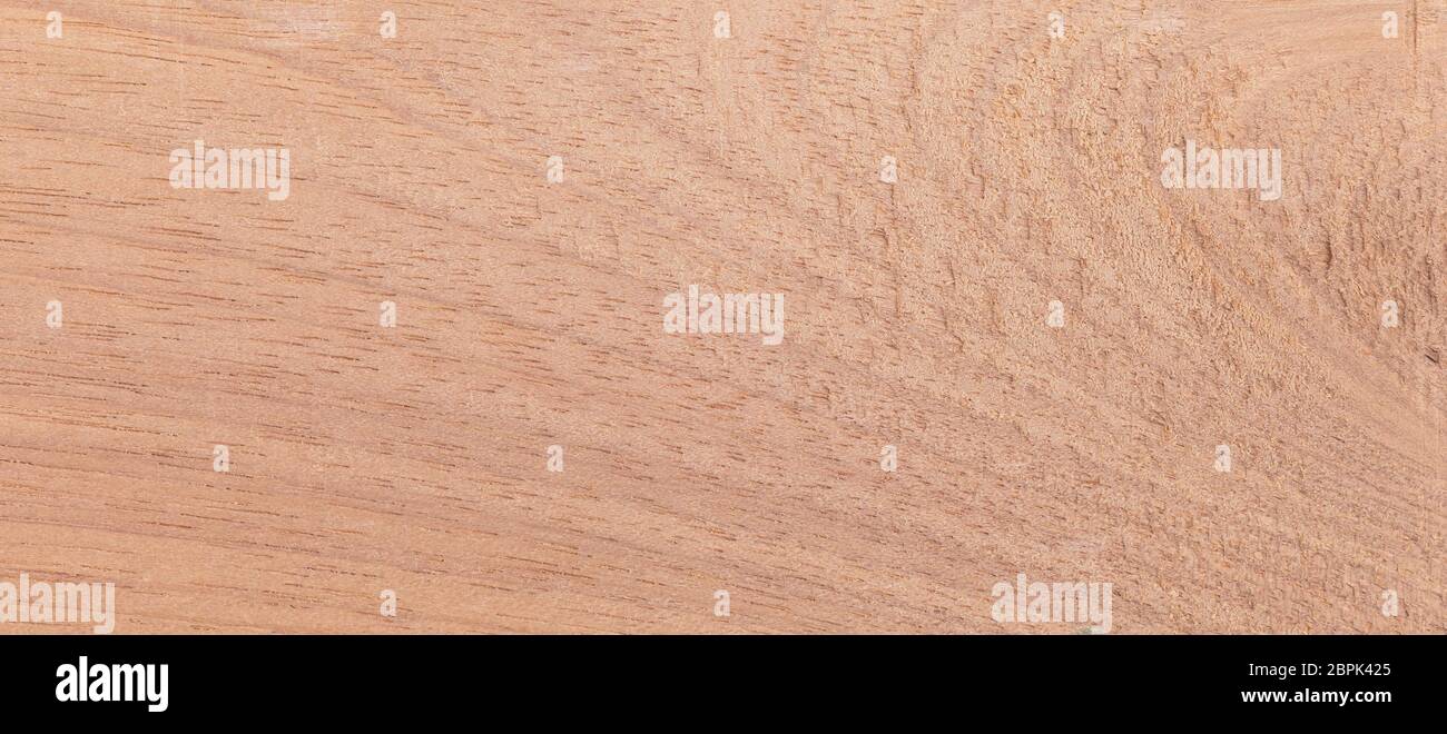 Wood background - Wood from the tropical rainforest - Suriname - Couratari spp Stock Photo