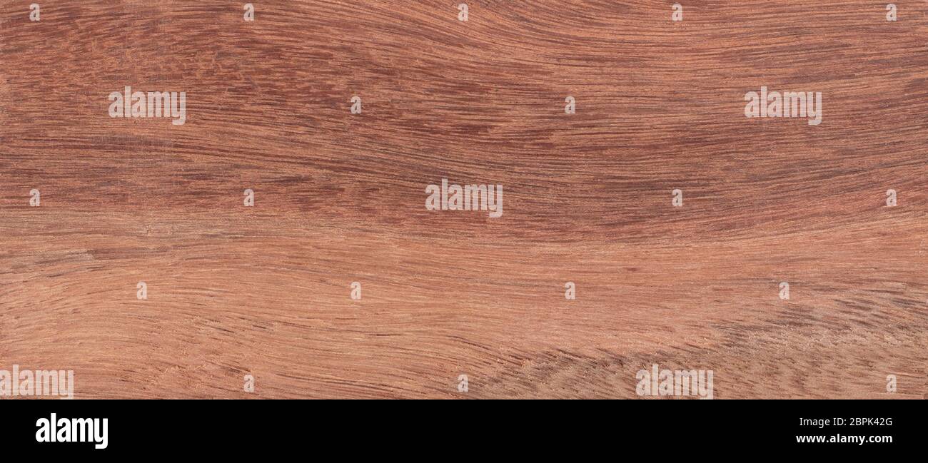 Wood background - Wood from the tropical rainforest - Suriname - Moraexcelsa Benth Stock Photo