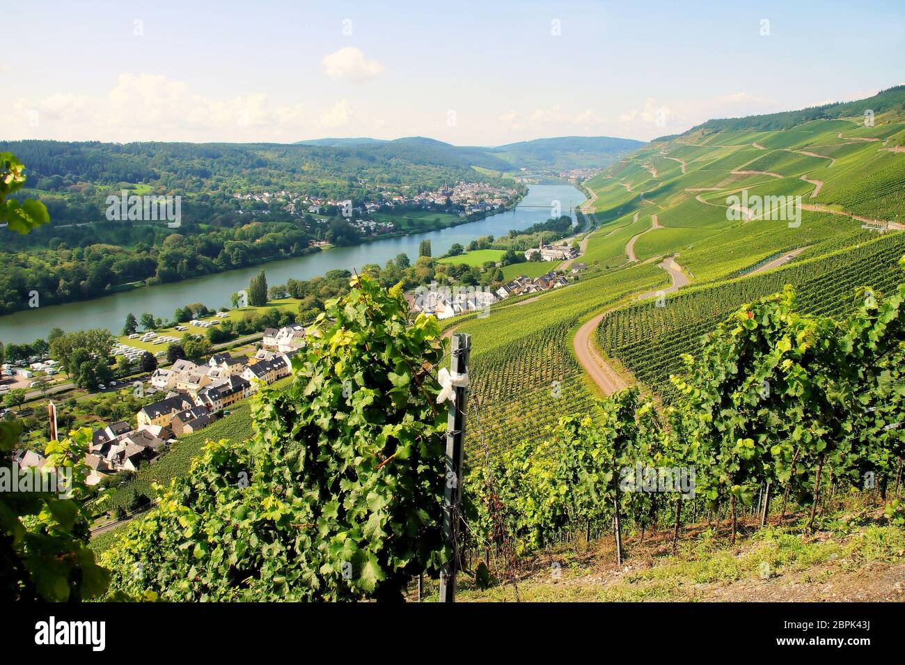 französischer weinort an der mosel