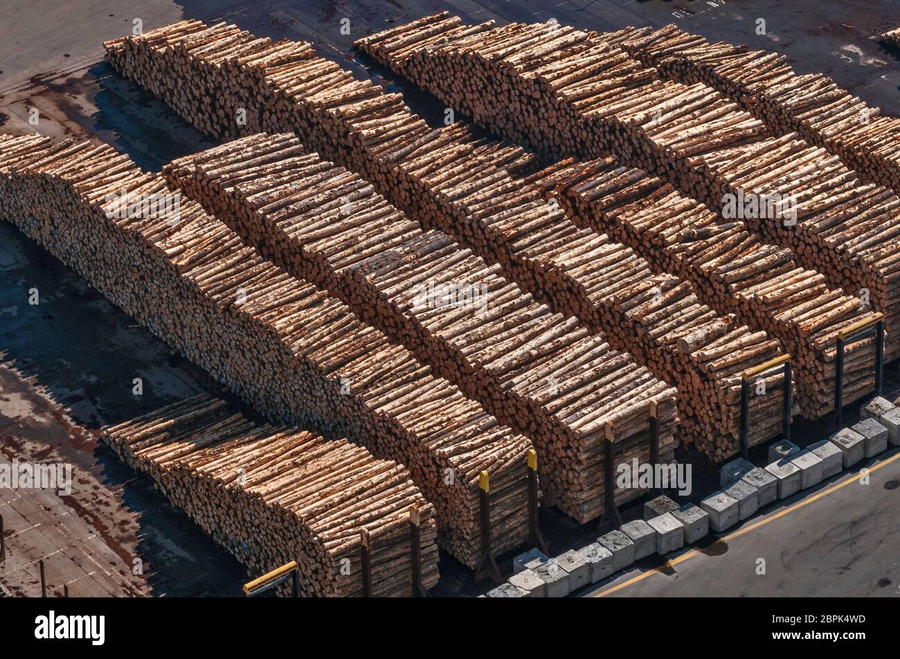 Large stacks of timber logs, ready to be loaded, at Port of Napier, from Bluff Hill Lookout, in Napier, Hawke's Bay Region, North Island, New Zealand Stock Photo
