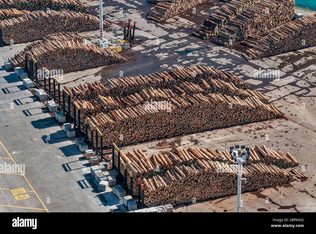 Large stacks of timber logs, ready to be loaded, at Port of Napier, from Bluff Hill Lookout, in Napier, Hawke's Bay Region, North Island, New Zealand Stock Photo