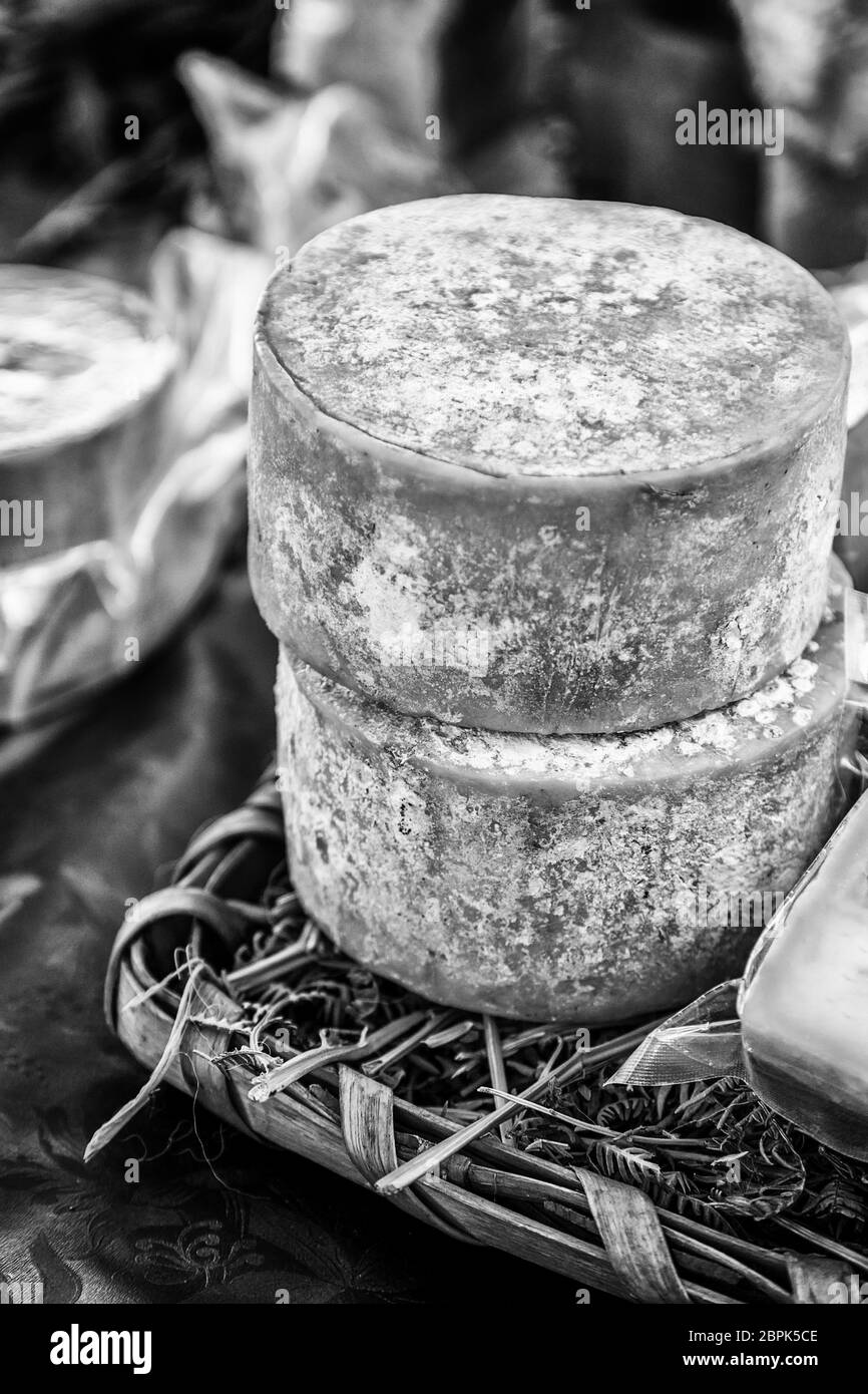 Cured old cheese, detail of dairy product Stock Photo