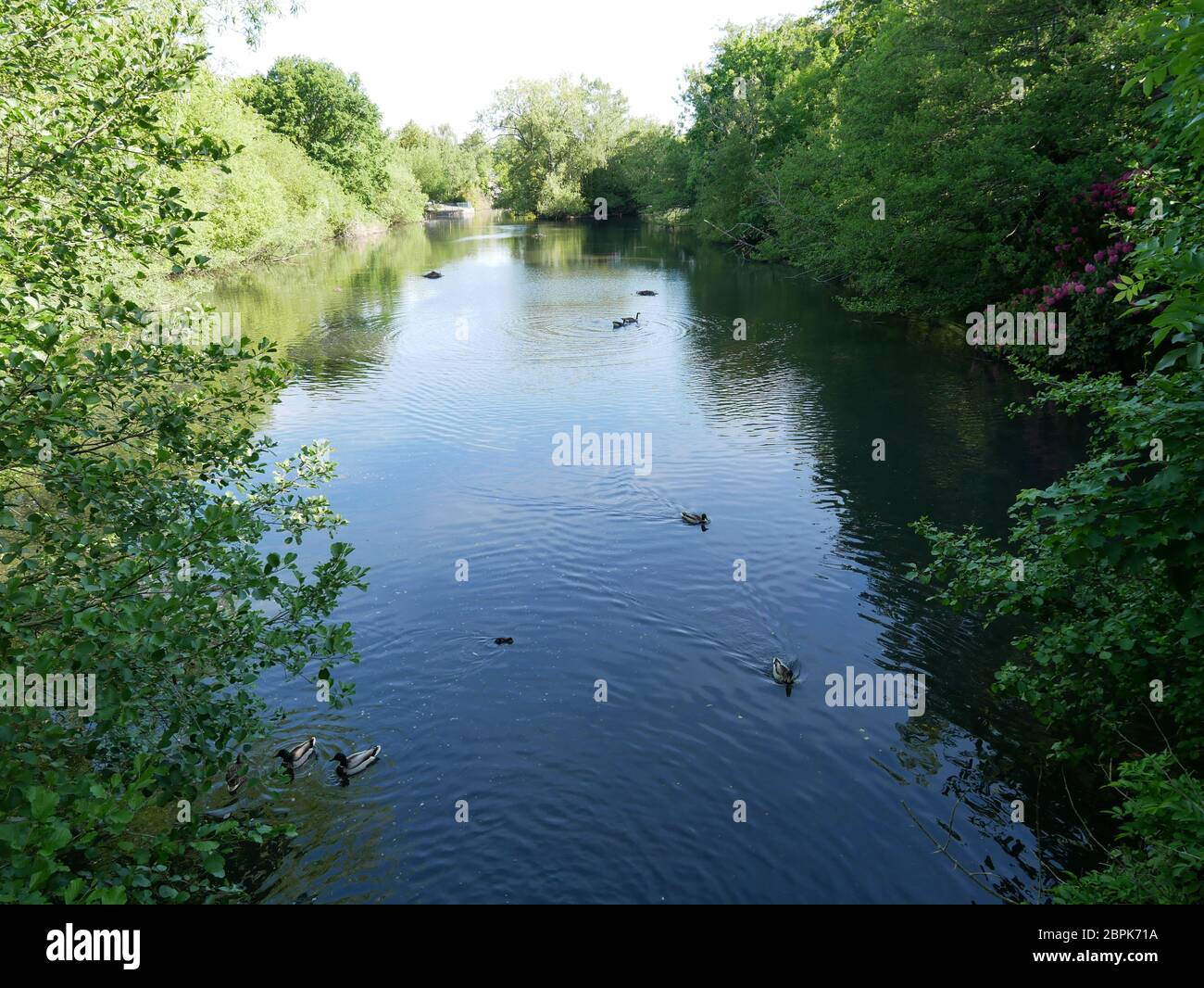 Kelsey Park, Beckenham,Kent Stock Photo Alamy