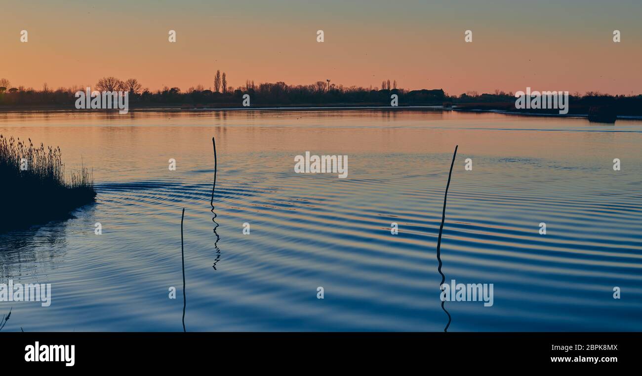 Spectacular red and purple sunset in winter on the blue sea of the lagoon of Caorle in Venice, Italy, with three reeds reflected in the water Stock Photo