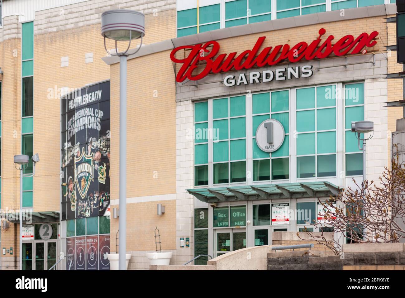 Budweiser Gardens - Home of the London Knights - Empty Stock Photo - Alamy