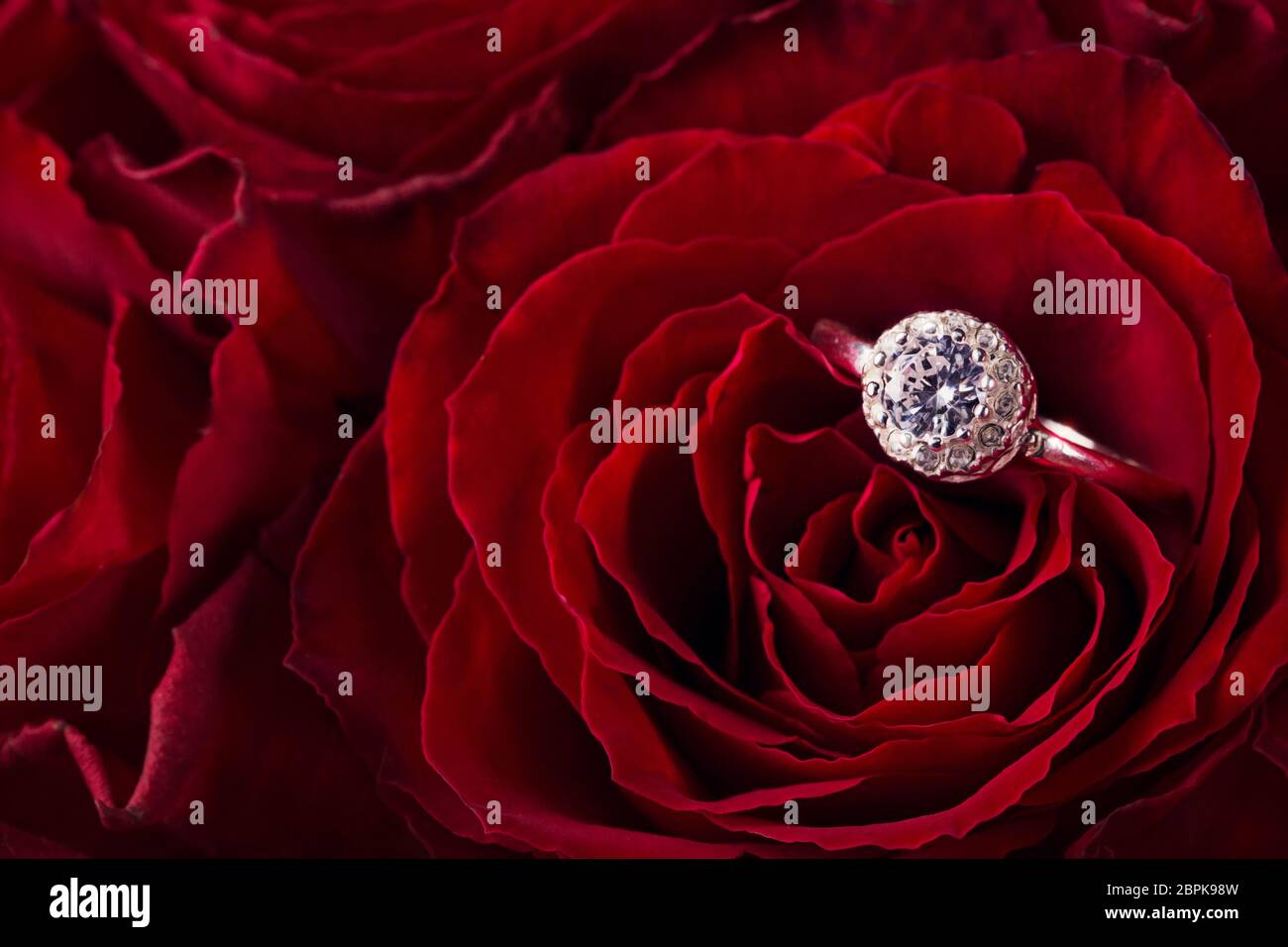 Red Roses Rng Red roses engagement ring hi-res stock photography and images - Alamy