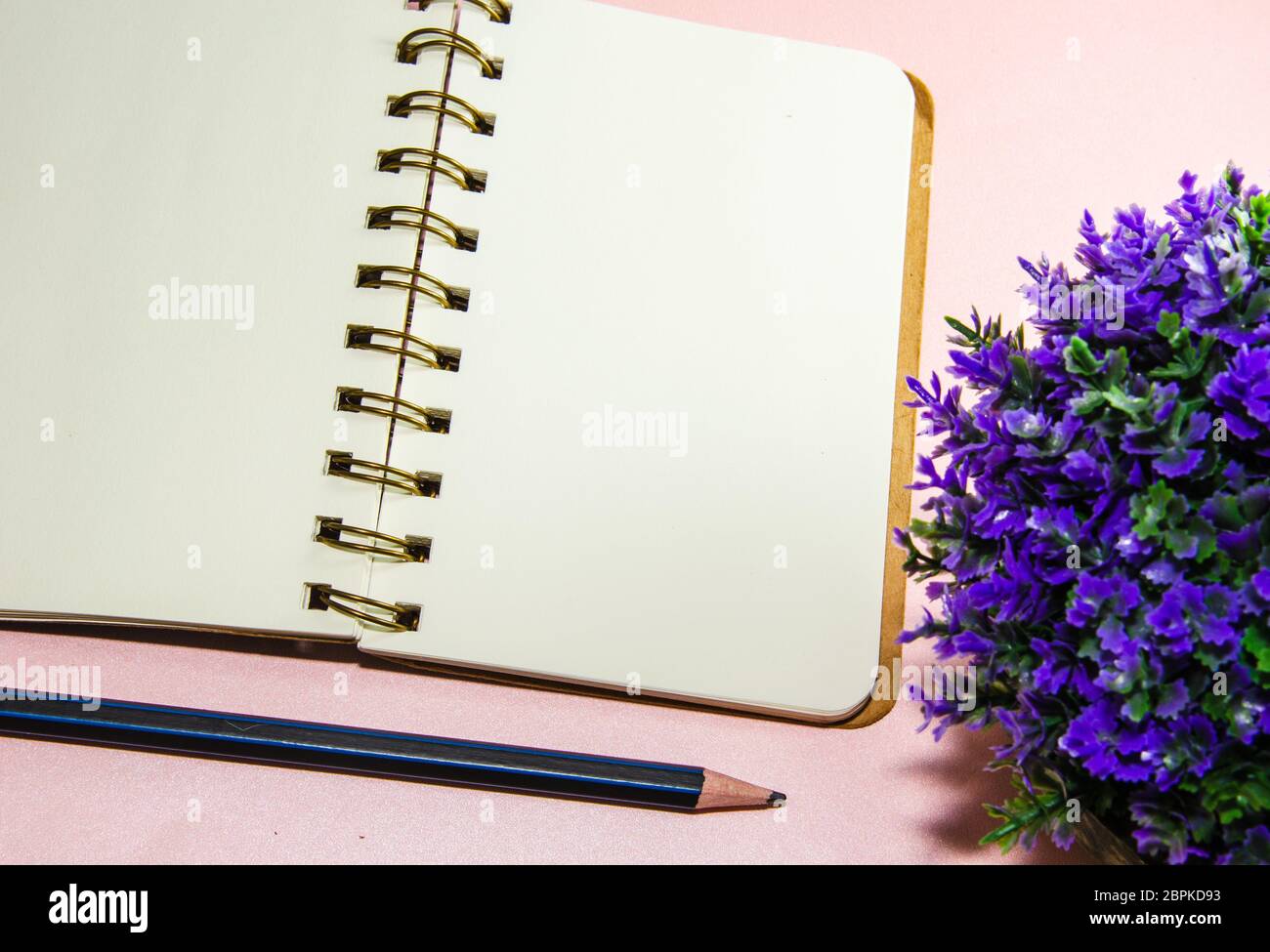 Top view with copy space, Blank notebook, pencil and tree in pots on background Stock Photo
