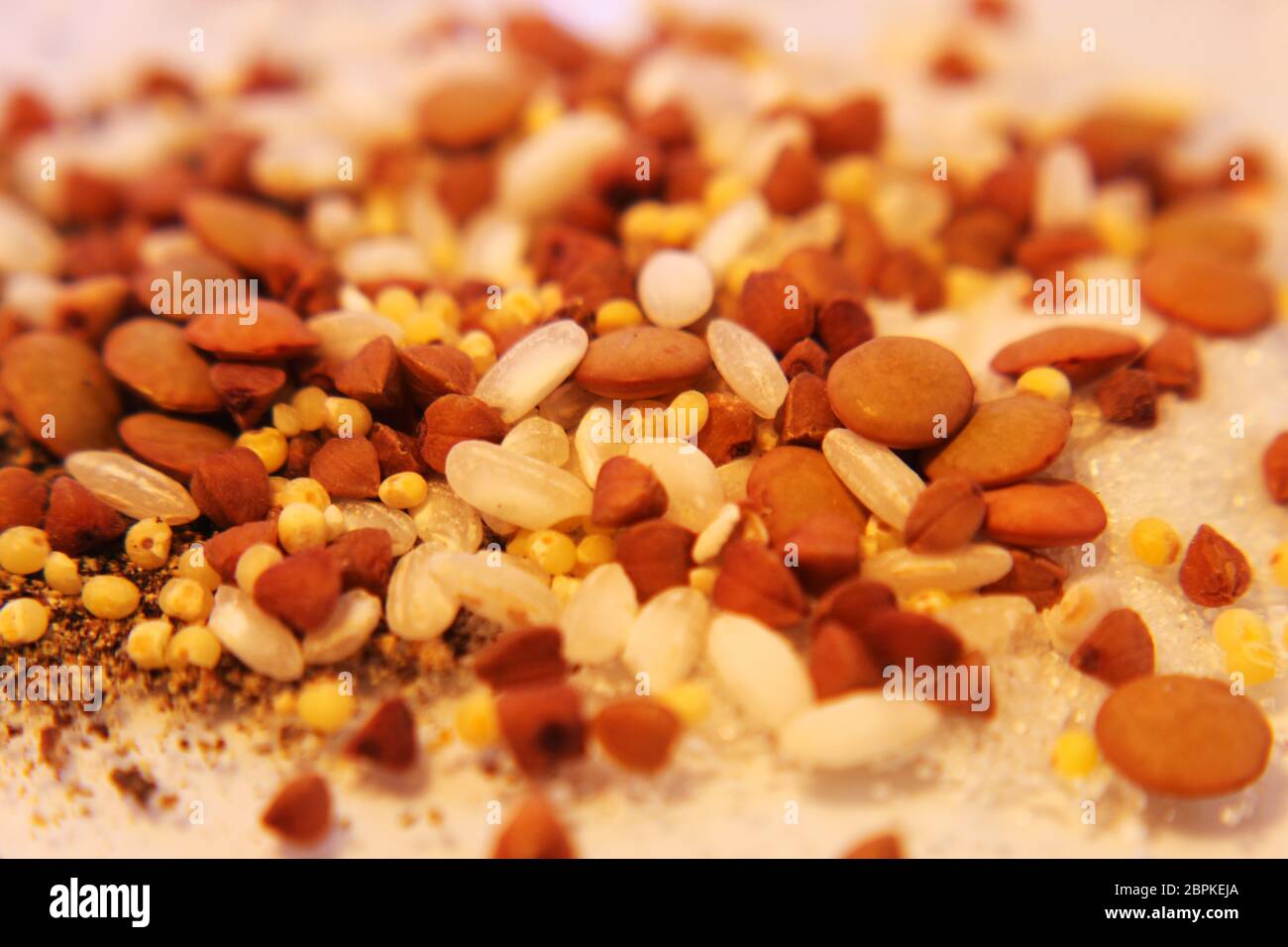 Raw organic cereal grains, seeds and beans Healthy eating concept Stock