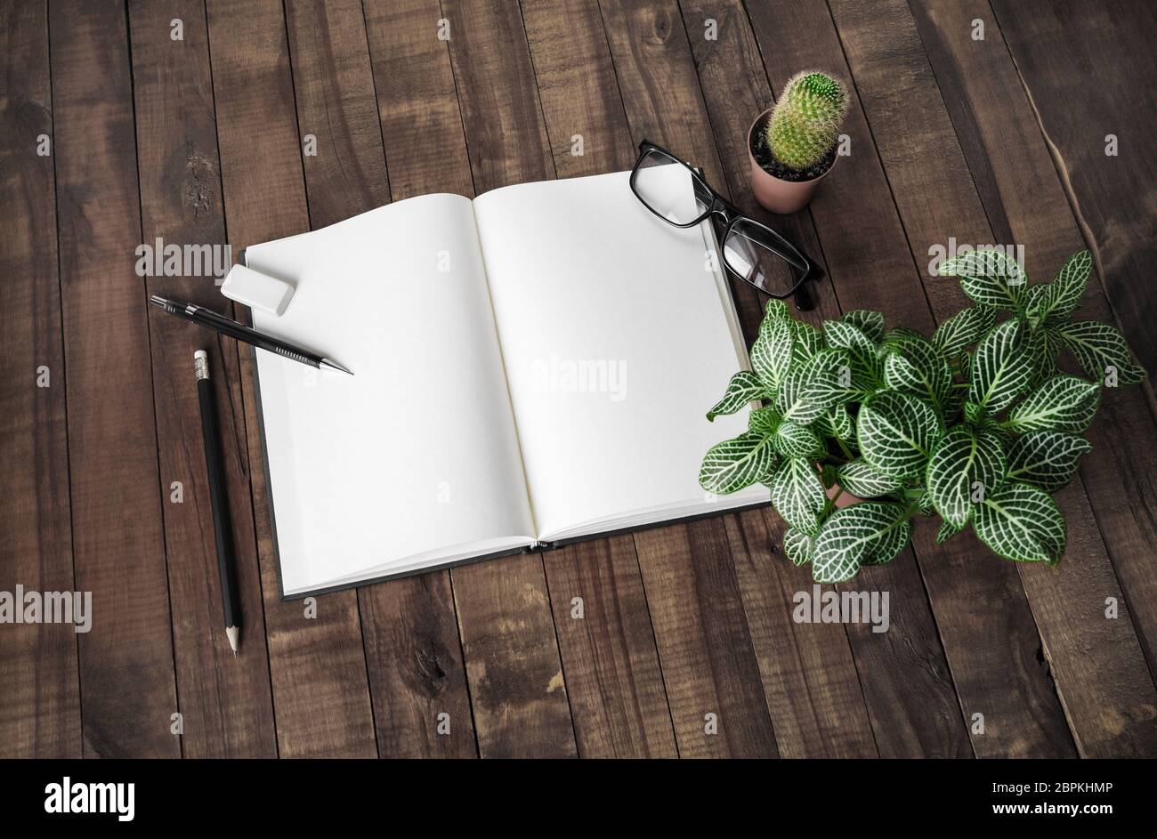 Blank book, stationery and plants on wooden background. Responsive design mock up. Stock Photo