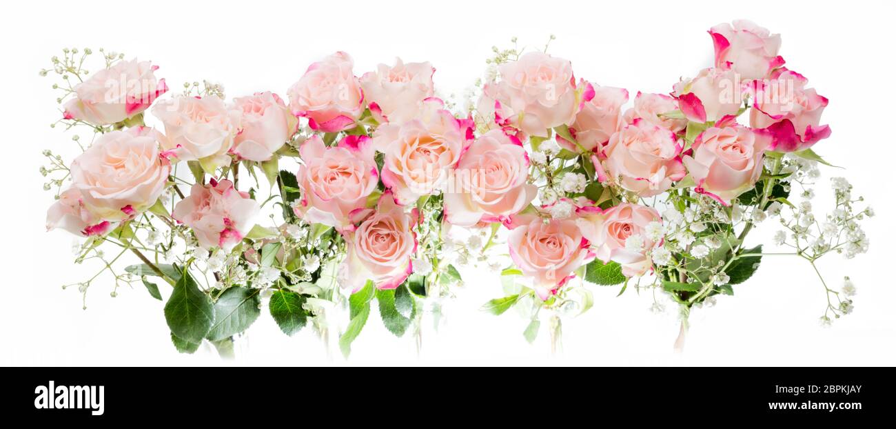 Death anniversary flower Cut Out Stock Images & Pictures Alamy