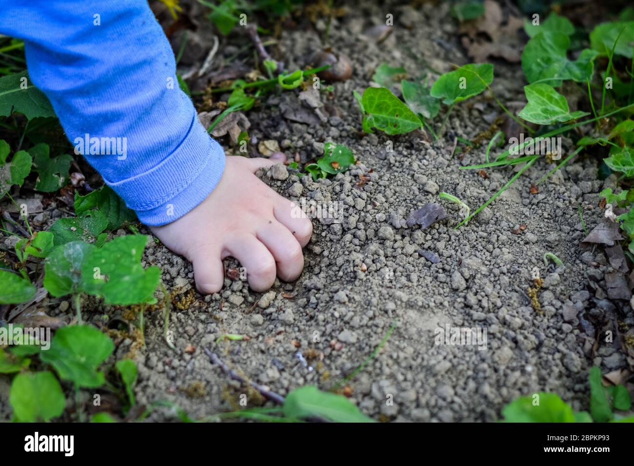 Toddler's hand digging the ground close up Stock Photo