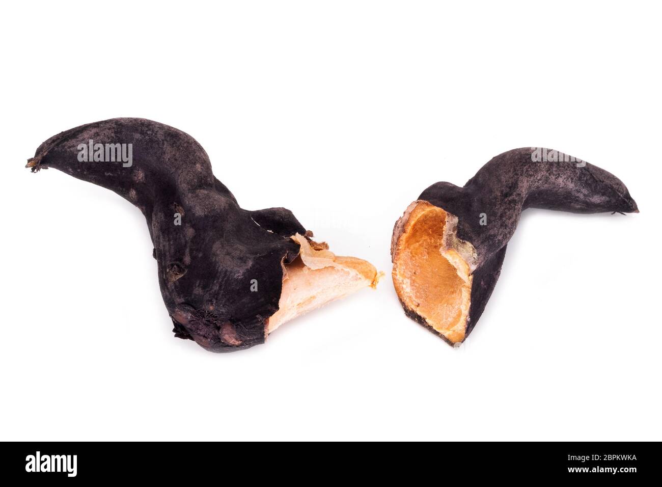 Water Caltrop, close up of black baffalo horn nut on white background Stock Photo