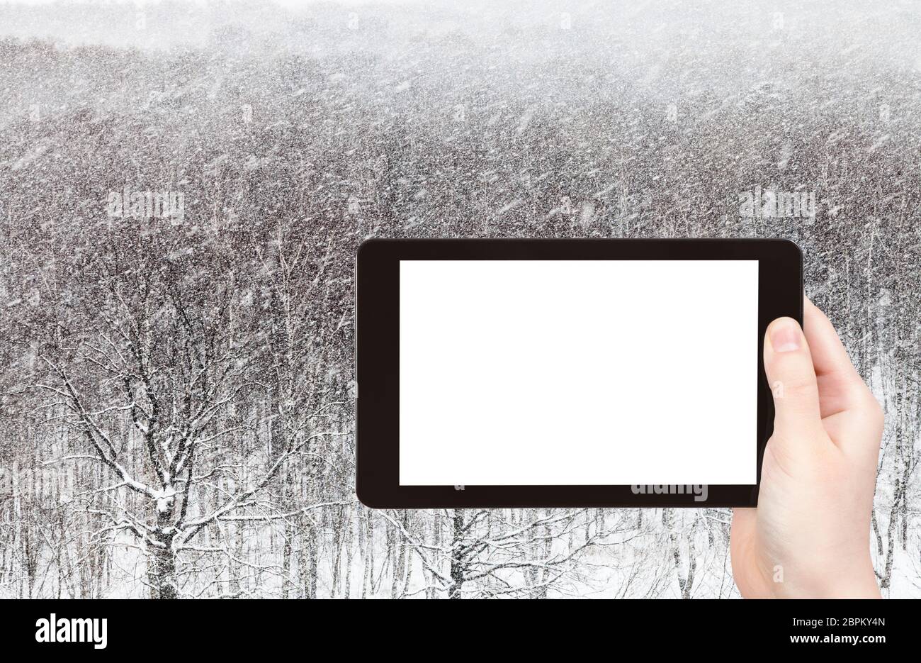 travel concept - tourist photographs of snowstorm over woods in city park in winter in Moscow city on smartphone with empty cutout screen with blank p Stock Photo