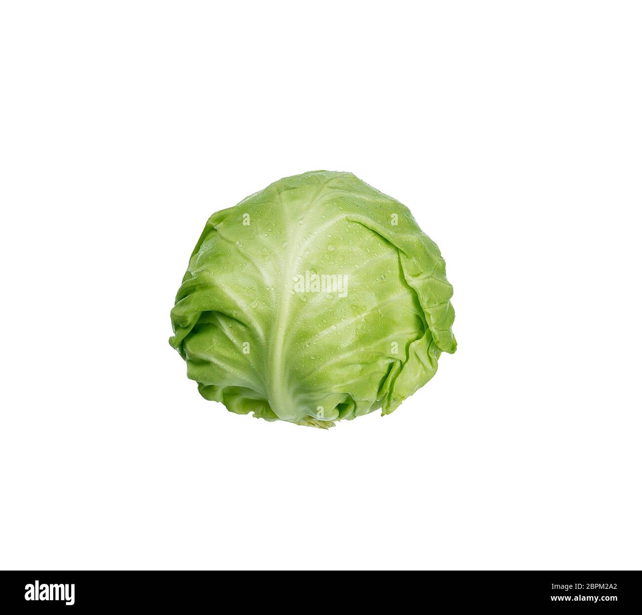 Broccoli isolate Cut Out Stock Images & Pictures - Page 2 - Alamy