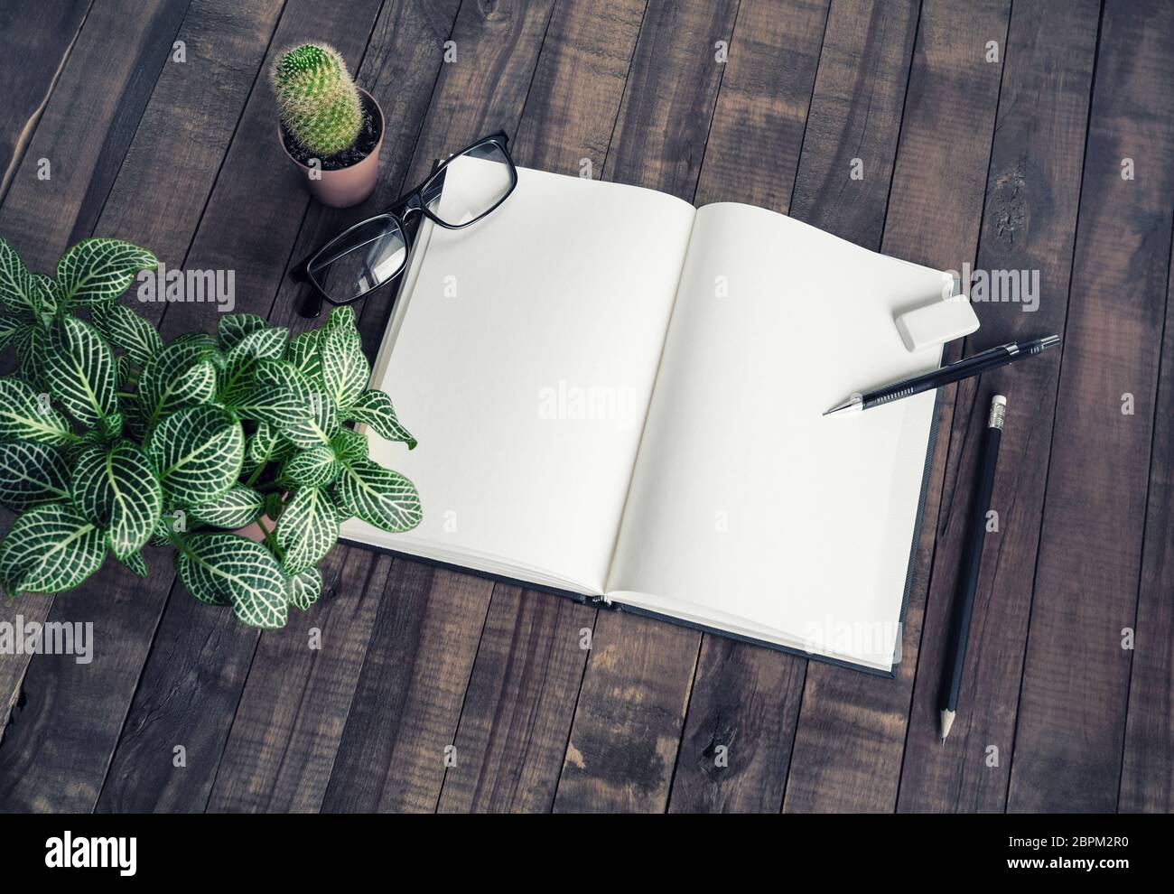 Blank notepad, stationery and plants on vintage wood table background. Stock Photo