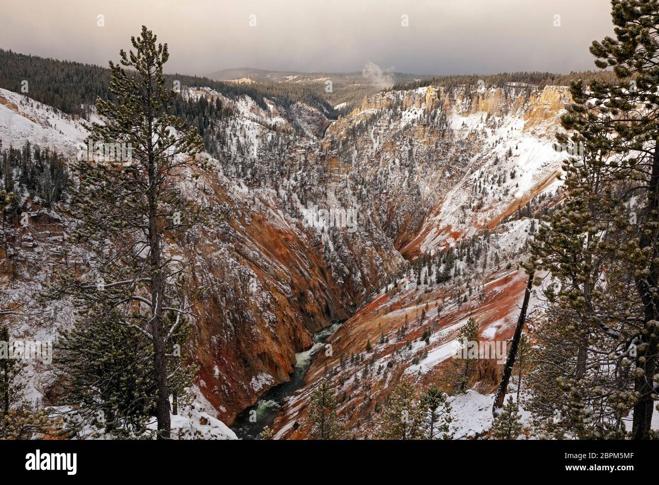 WY04406-00...WYOMING - Colorful walls of the Grand Canyon of the Yellowstone River on a cloudy day near Artist Point in Yellowstone National Park. Stock Photo
