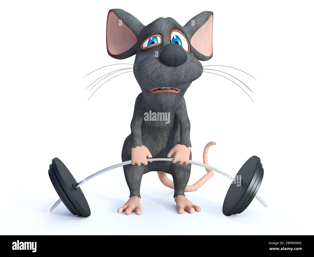 Gym Rat Digital Download Funny Weightlifting Fitness 