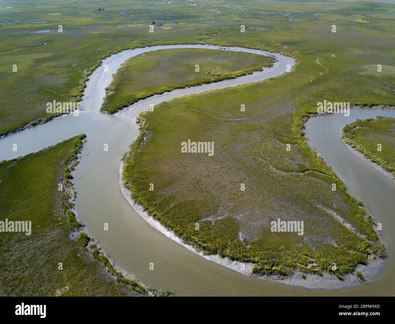 Aerial view of meandering tidal estuary and salt marsh on the coast of South Carolina, USA. Stock Photo