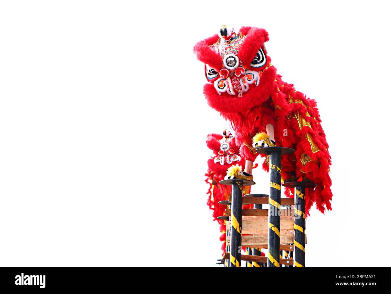 Chinese New Year lion dance celebration over white background Stock ...