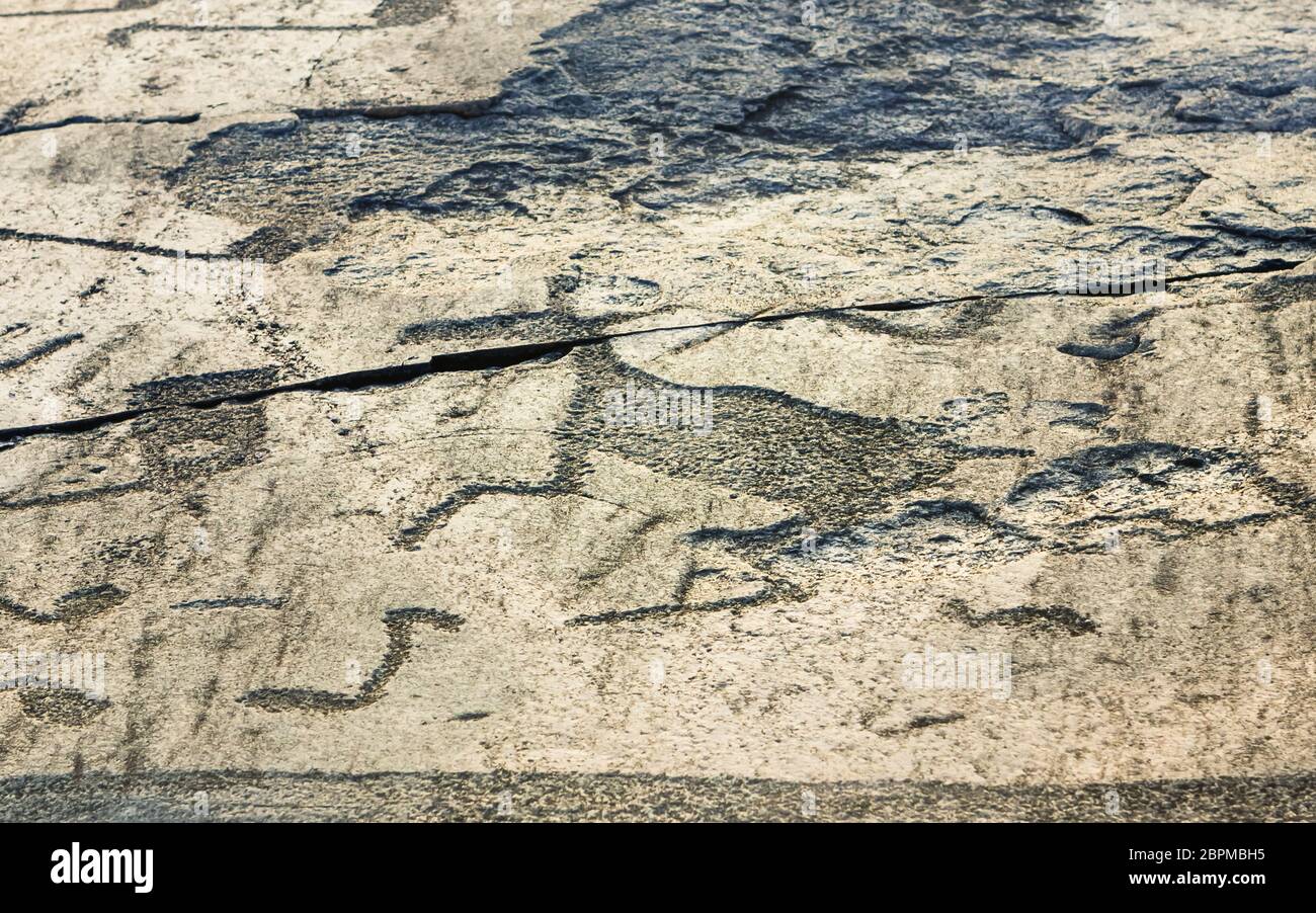 Fragment of Onega petroglyphs on the granite shore of the lake. Age of prehistoric rock engravings - 5000-6000 years. Cape Besov Nos, Republic of Kare Stock Photo