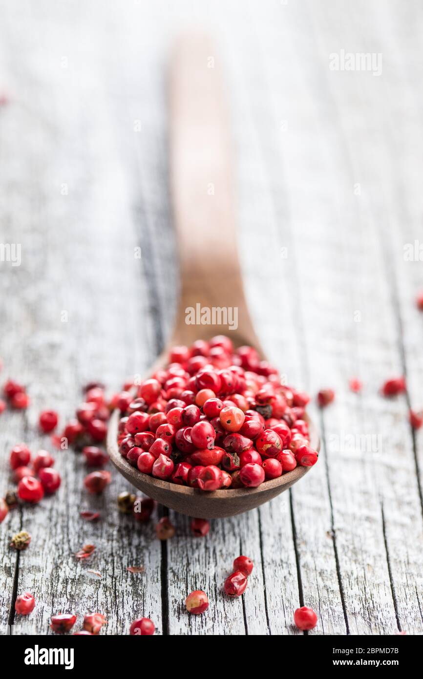 Dried pink peppercorn in spoon. Stock Photo