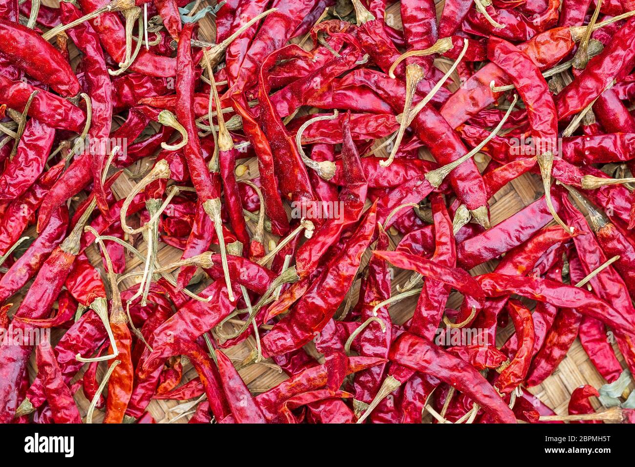Closeup Pile of airdried red chili peppers background. Hot and spicy dry red chillies Stock