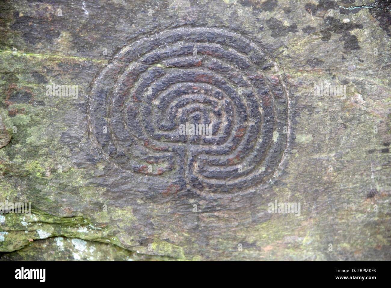 Labyrinthine stone carvings in the Rock valley near Tintagel in cornwall. The carvings, discovered in 1948, are belived to be from the Bronze Age. Stock Photo