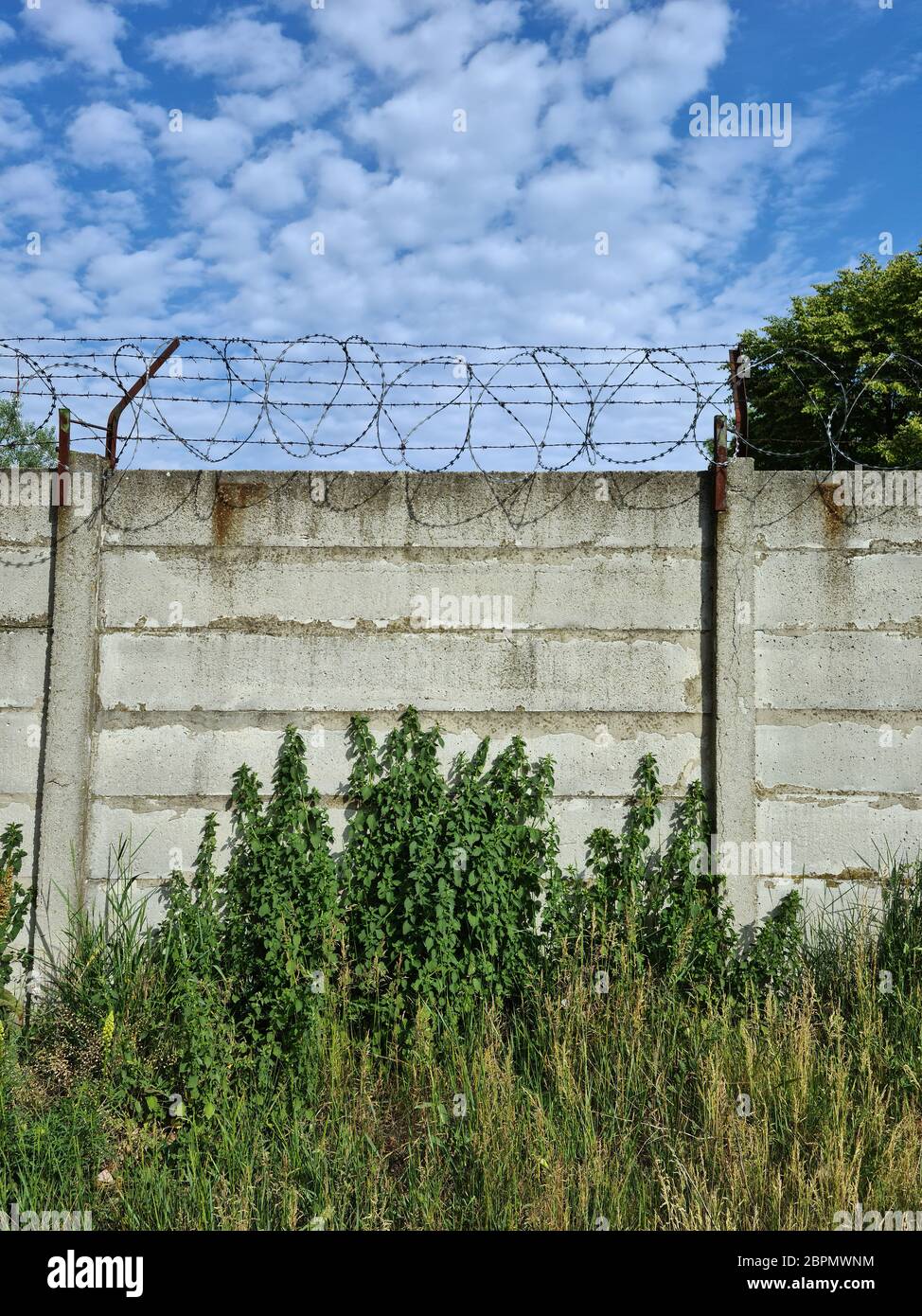 Barbed wire on concrete fence Stock Photo Alamy