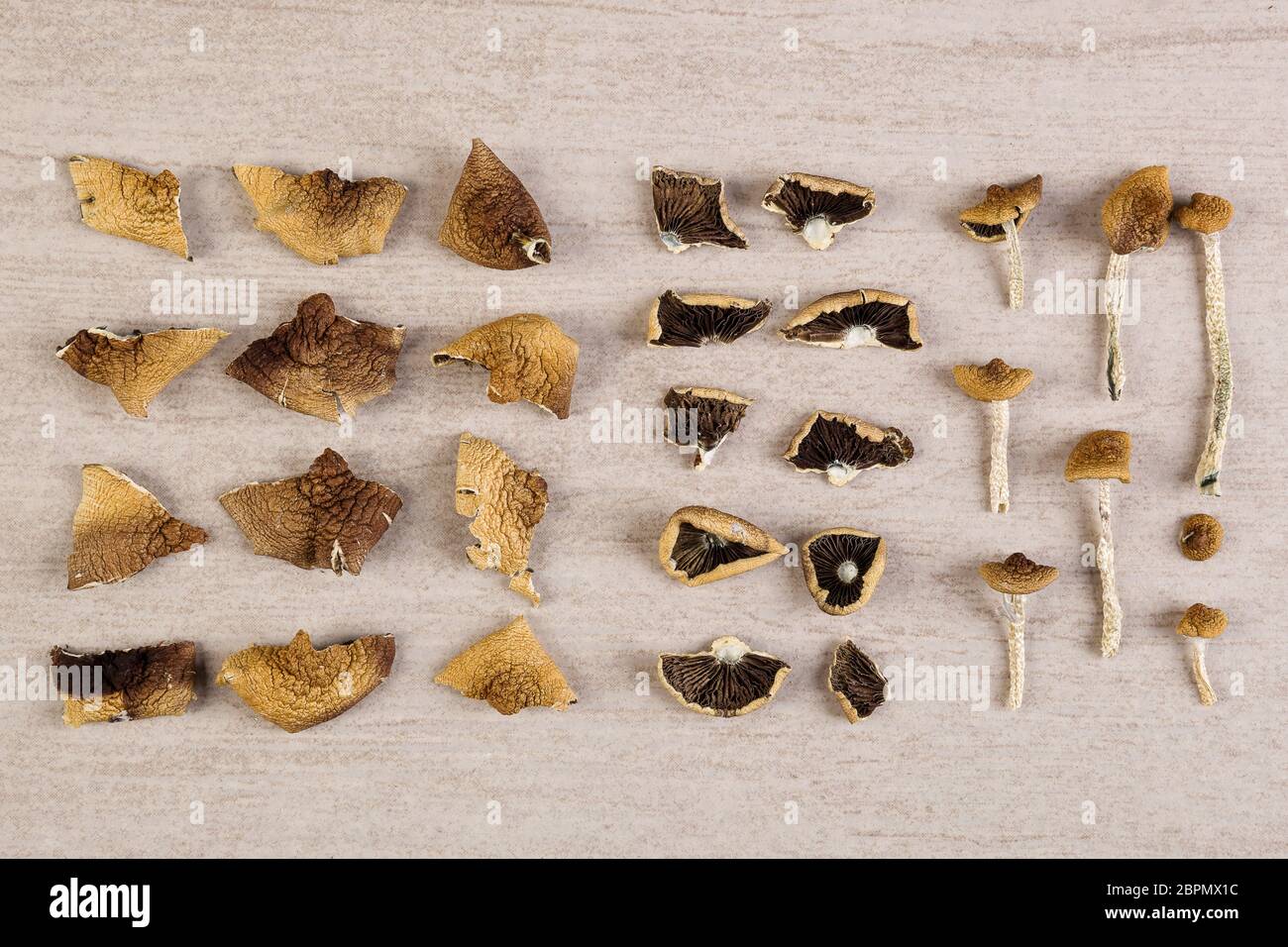 Magic mushrooms from above. Knolling flat lay background. Entheogen, alternative medicine. Stock Photo