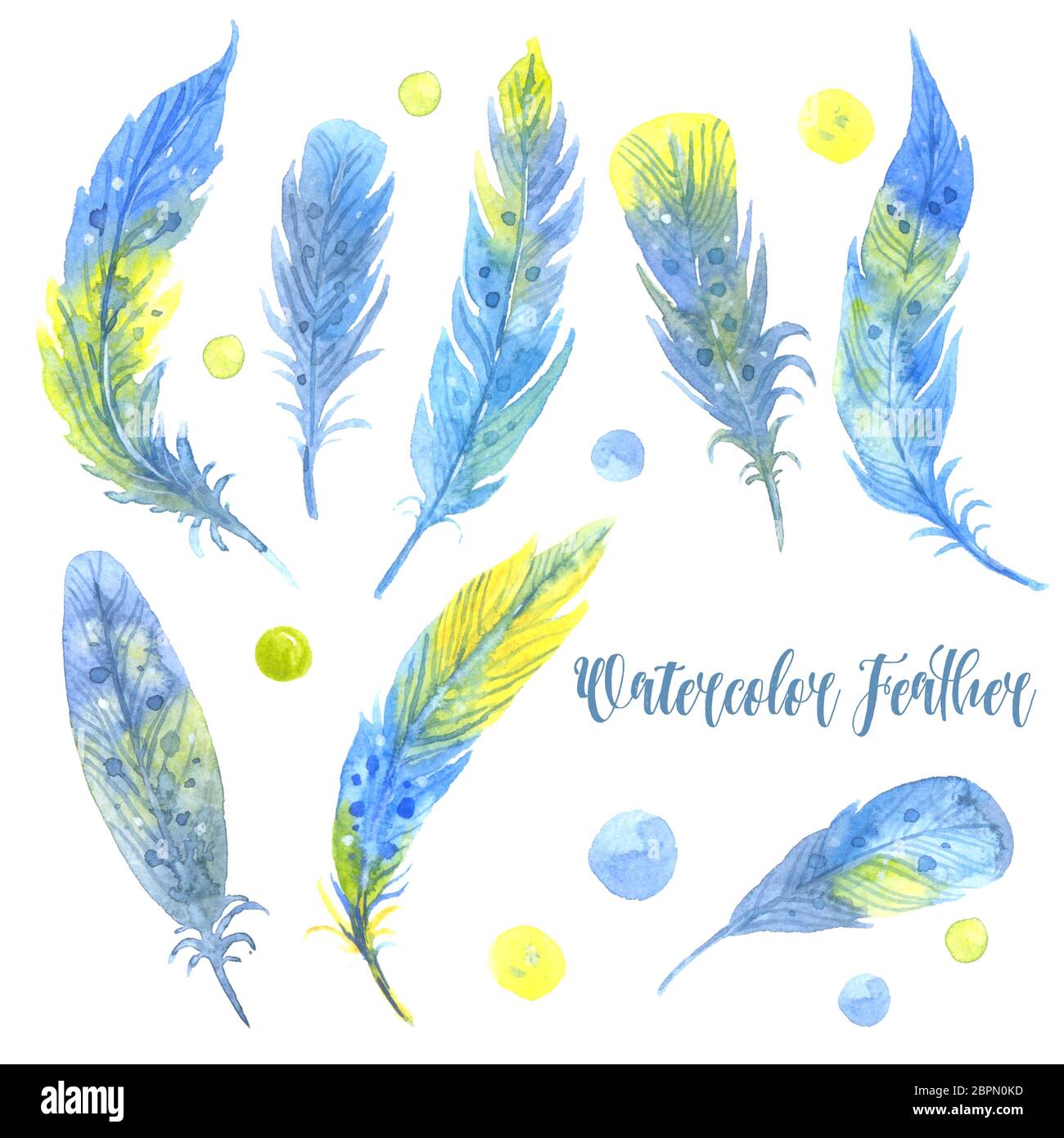 Watercolor blue feather set. Hand drawn illustration Stock Photo - Alamy