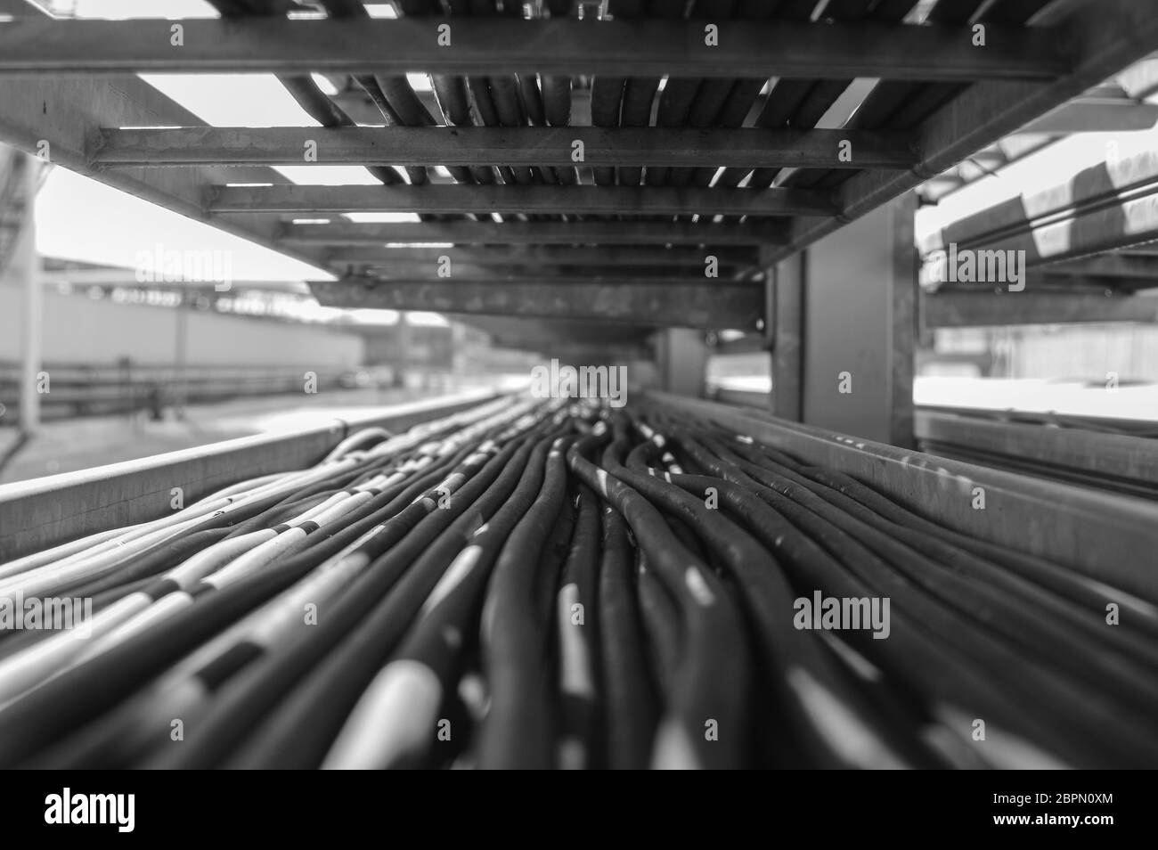 Production wiring.Electrical wiring.Electric wires.Cable wiring