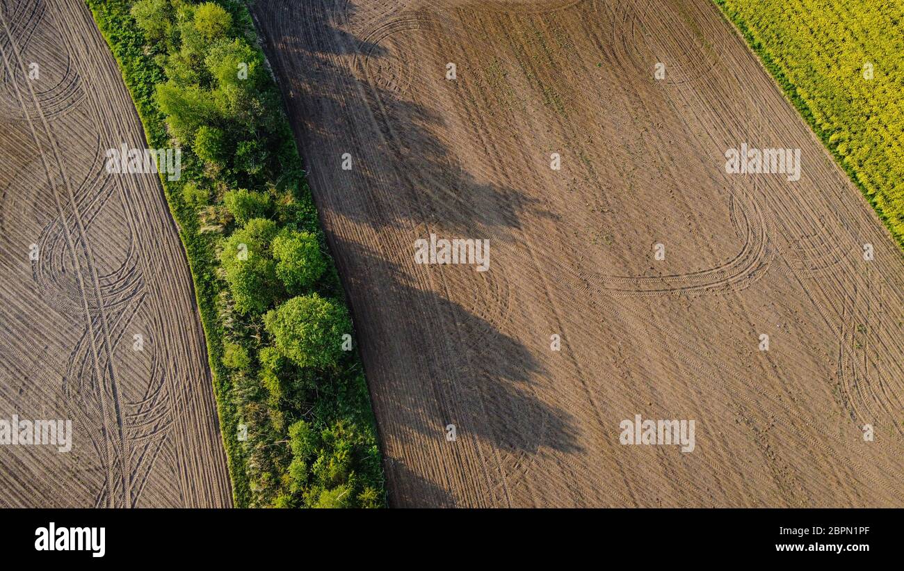 Black agricultural field and green trees aerial landscape view from drone, beautiful natural texture background from above Stock Photo