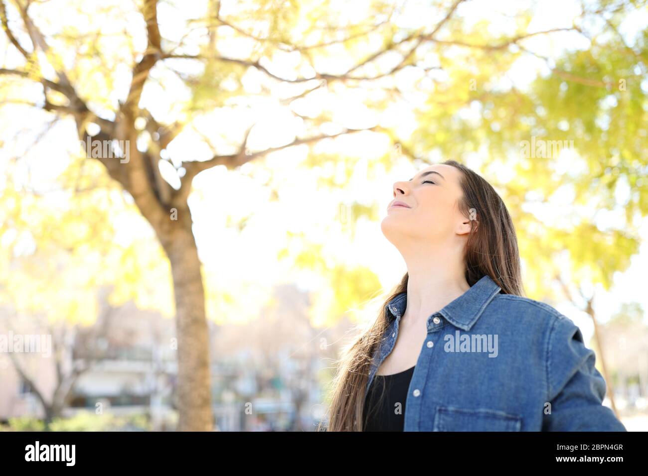 Relaxed woman is breathing deep fresh air in a park with trees in the ...