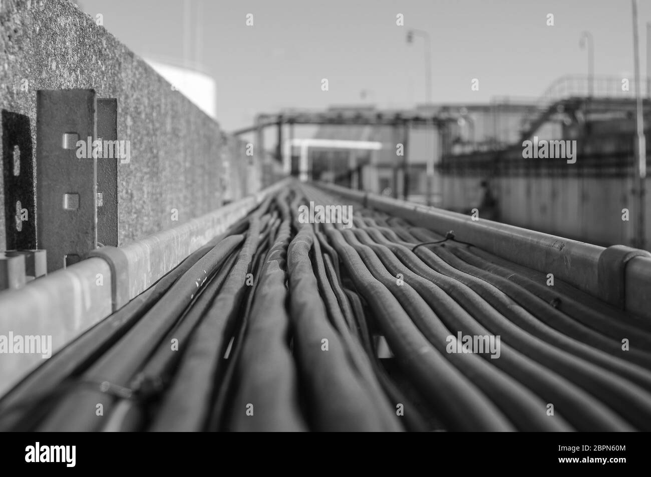 Production wiring.Electrical wiring.Electric wires.Cable wiring ...