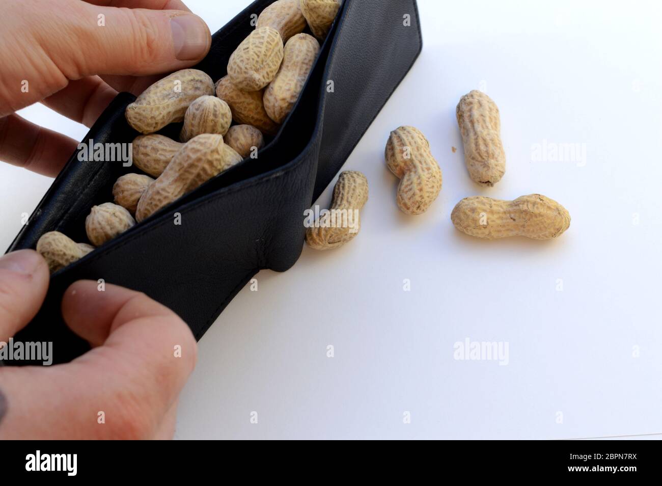 Economical poverty sticken man reaches for money in his wallet only to find peanuts over a white background. Stock Photo