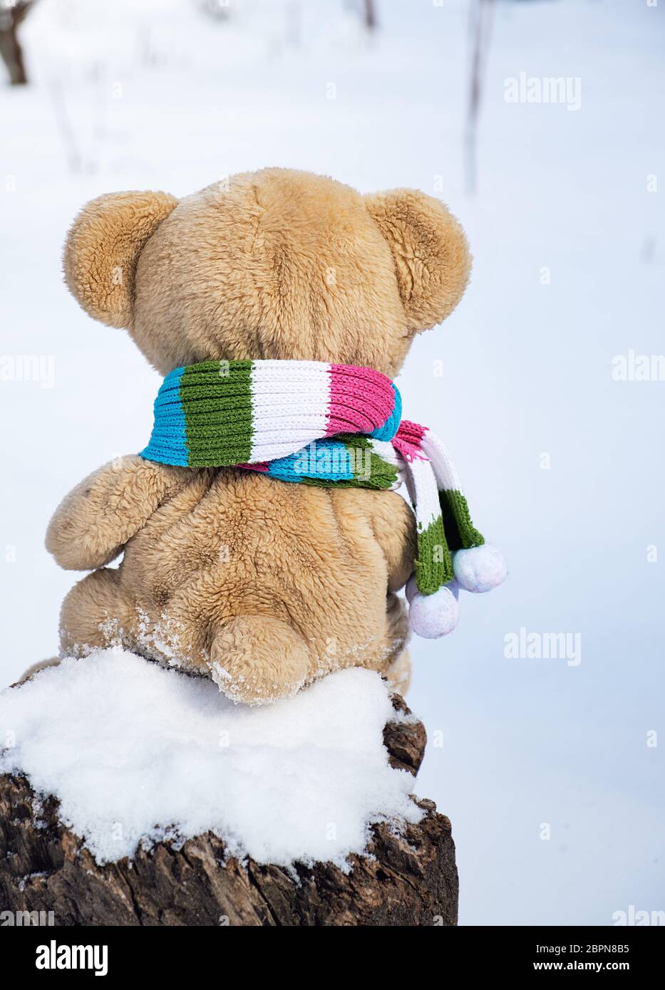 teddy bear in a scarf sits backwards on a stump in the middle of white ...