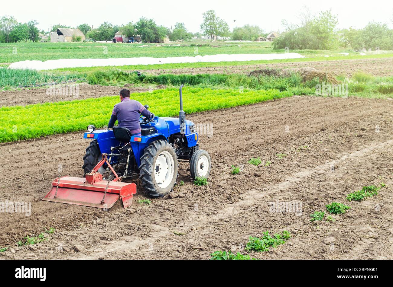 Farmer on a tractor with milling machine loosens, grinds and mixes soil. Loosening the surface, cultivating the land for further planting. Farming and Stock Photo