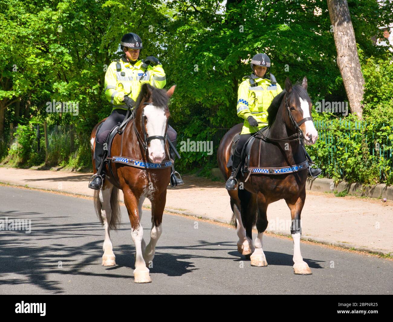 Two mounted police officers in high visibility clothing patrol Birkenhead Park on horseback on a sunny day with green foliage in the background. Stock Photo