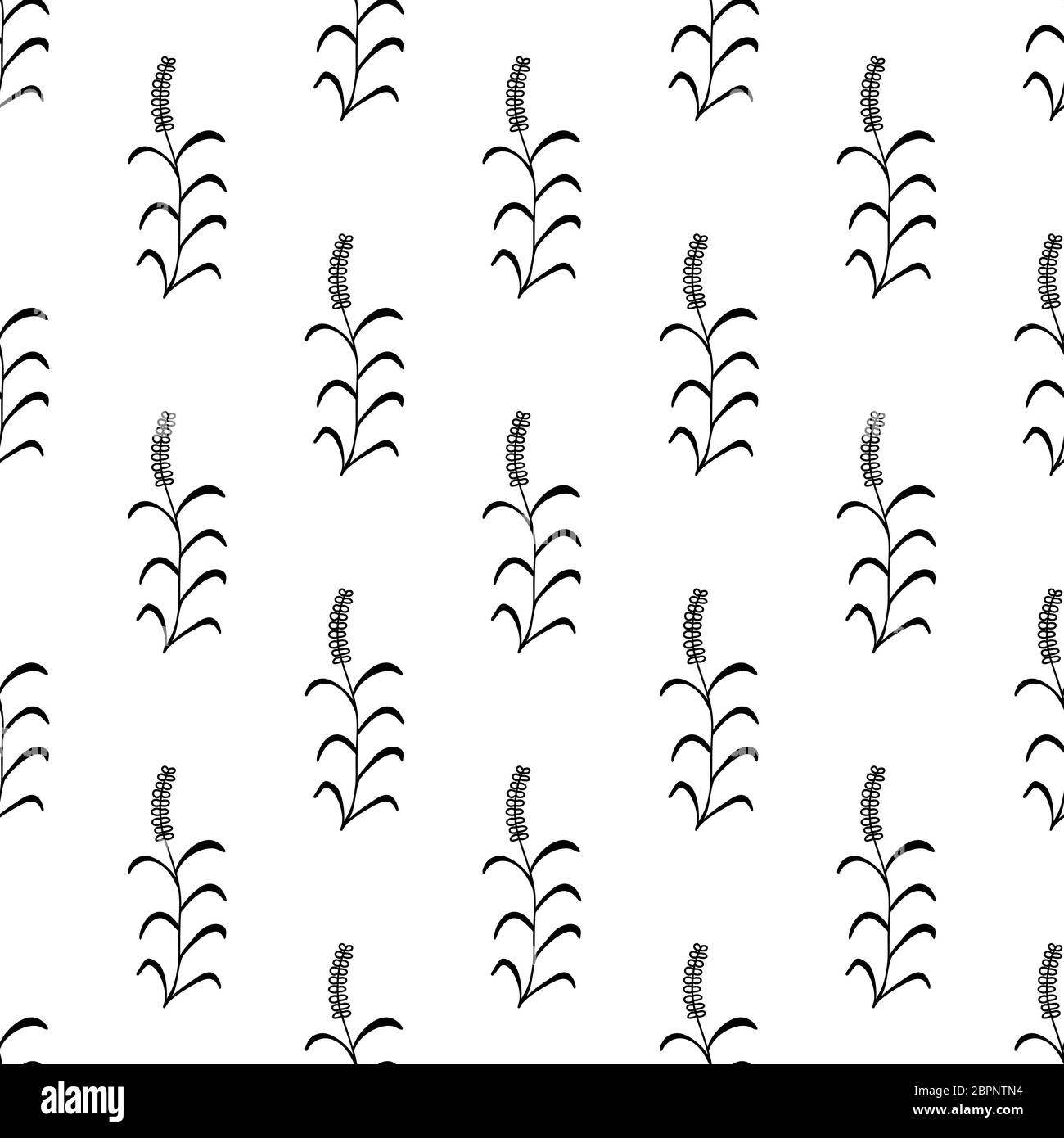 Floral seamless pattern. Isolated on white background. Vector stock illustration. Stock Vector
