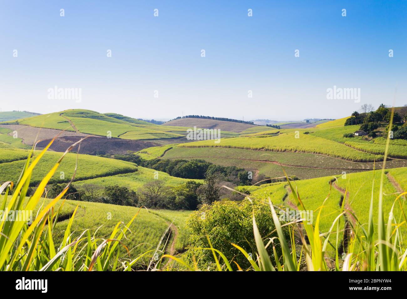 Valley of a Thousand hills landscape. Green hills panorama. South ...