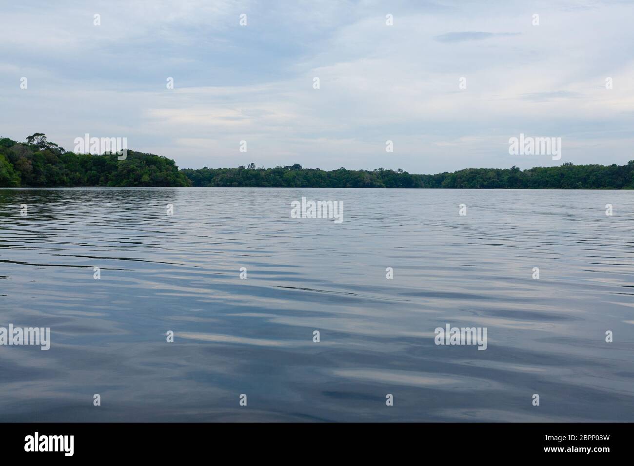 Panorama from Amazon rainforest, Brazilian wetland region. Navigable ...