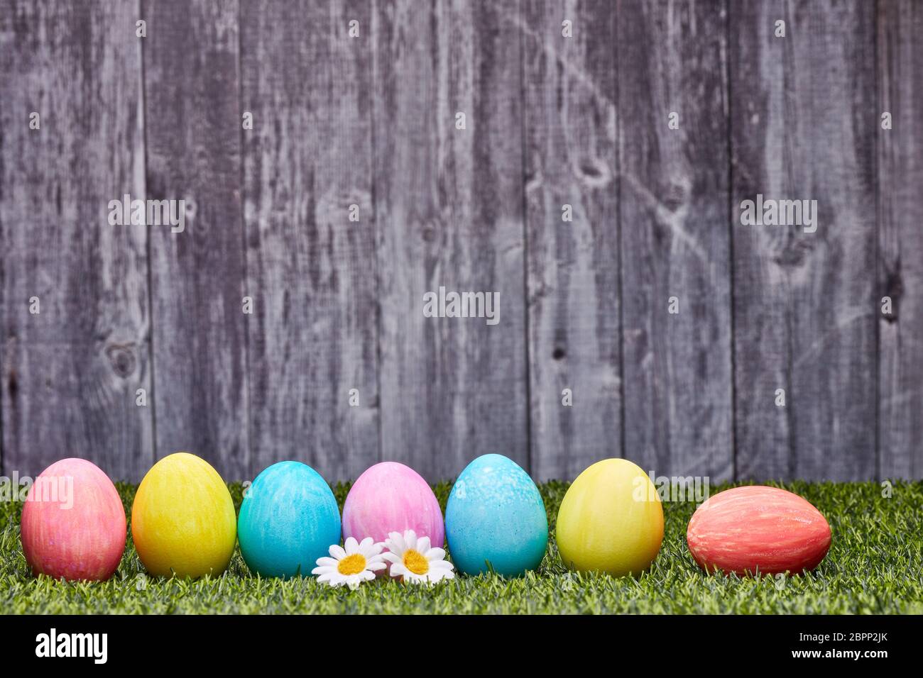Colored easter eggs lying on a green grass on a grey wooden background ...