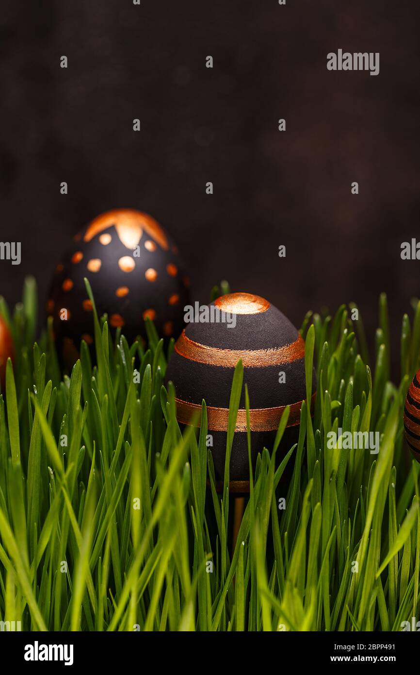 Composition with gold and black eggs hiding in grass. Easter concept Stock Photo